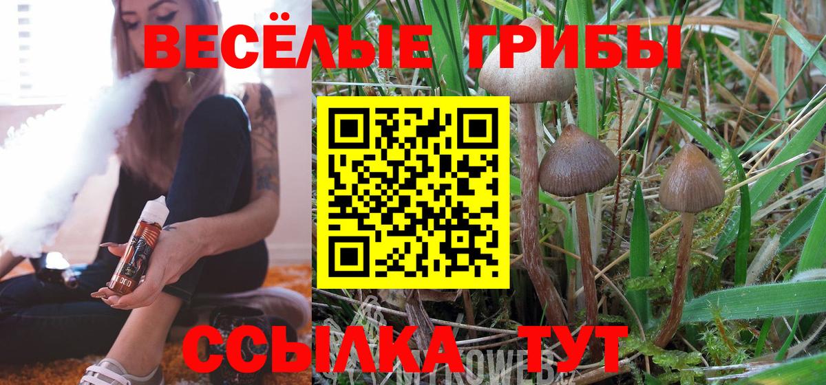 хочу наркоту  Вход с VPN  Баксан  Псилоцибиновые грибы мухоморы  Псилоцибиновые грибы мухоморы 